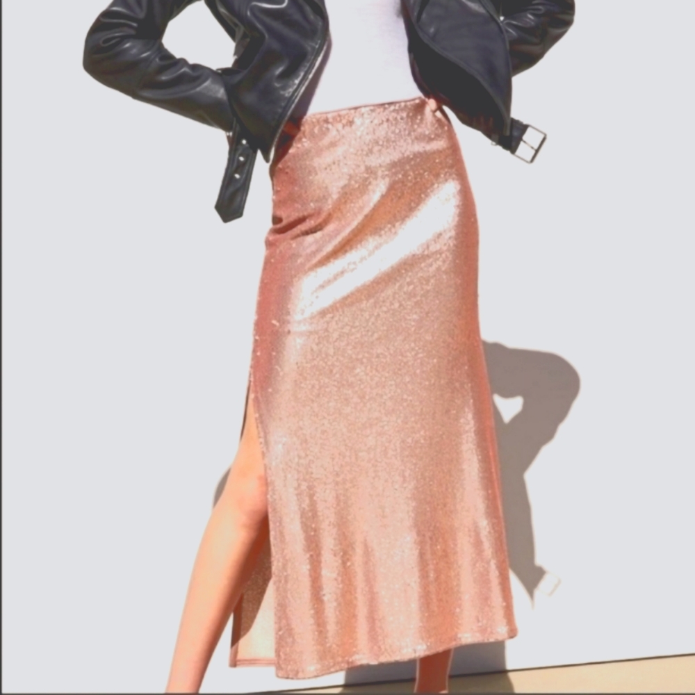 Zara sequin maxi skirt